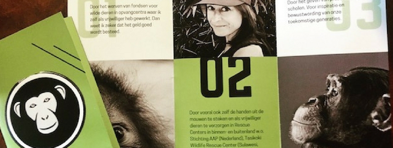 Mijn jaar 2016 in beeld Blog Thumbnail 785x295 | Rowena Goes Ape