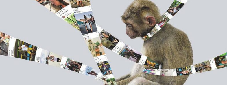 Selfies Deel Het Niet Blog Thumbnail 785x295 | Rowena Goes Ape (Foto: Stichting AAP)
