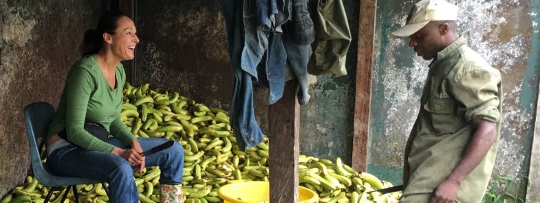 vrijwilligerswerk-met-chimpansees-Blog-Thumbnail-785x295-Rowena-Goes-Ape
