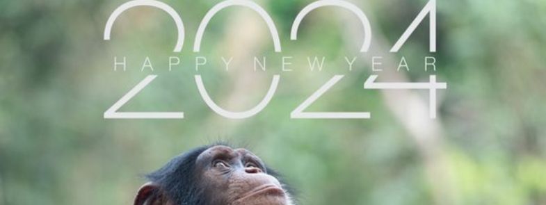 ChimpMail 20240102 (785x295)