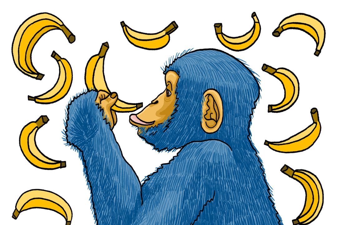 chimpmail q4 2024