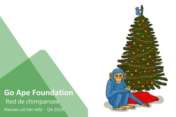Go Ape Foundation - Newsletter ChimpMail Q4 2025
