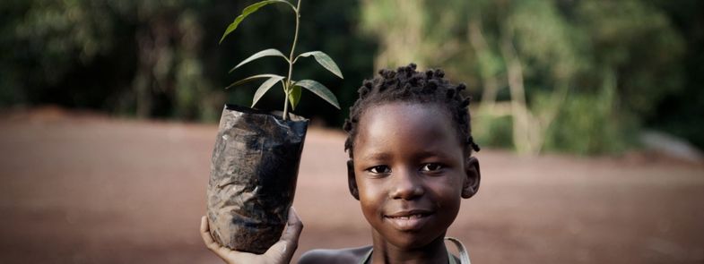 Blog 20260816 - Kinderen leren over biodiversiteit in de praktijk - Thumbnail 785x295